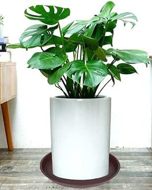 2 Pack of Bird Bath Bowl 12", 1.6" Depth, 10 12 inch Birdbath Bowls Dish Only for The Garden, Large Plant Saucer (12", Chocolate)