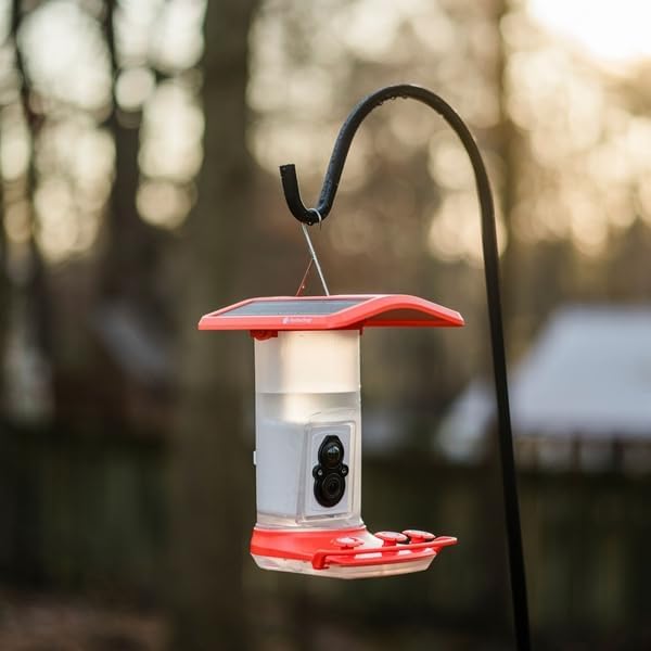 Smart Hummingbird Feeder
