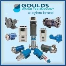 Goulds 10GS05422RC Jet & Submersible Pump