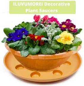2 Pack of 12 inch Plastic Terracotta Colored Round Plant Saucer, Lighter Plastic Tray for Indoors and Outdoors, Durable Flower Pot Planter Saucers (2 Pack - 12")