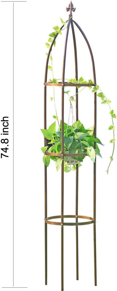 100% Metal Obelisk Garden Trellis 6.3 Feet Tall Sturdy Plant Support for Climbing Vines and Flowers Stands,1pc Upgrade (Bronze, Large)