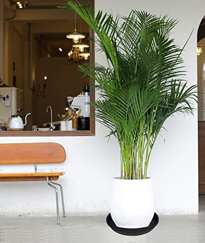 4 Pack of 16 inch Plant Saucer (13.5" Base), Heavy Duty Plastic Plant Tray for Pots, Flower Water Trays for Indoors, Bird Bath Bowls, Plant Drip Saucers for Planter 14"/15"/16" (Black)