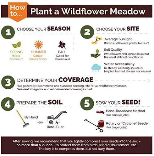 Non GMO Bulk All Perennial Wildflower Seed Mix Non GMO (50 Lbs)