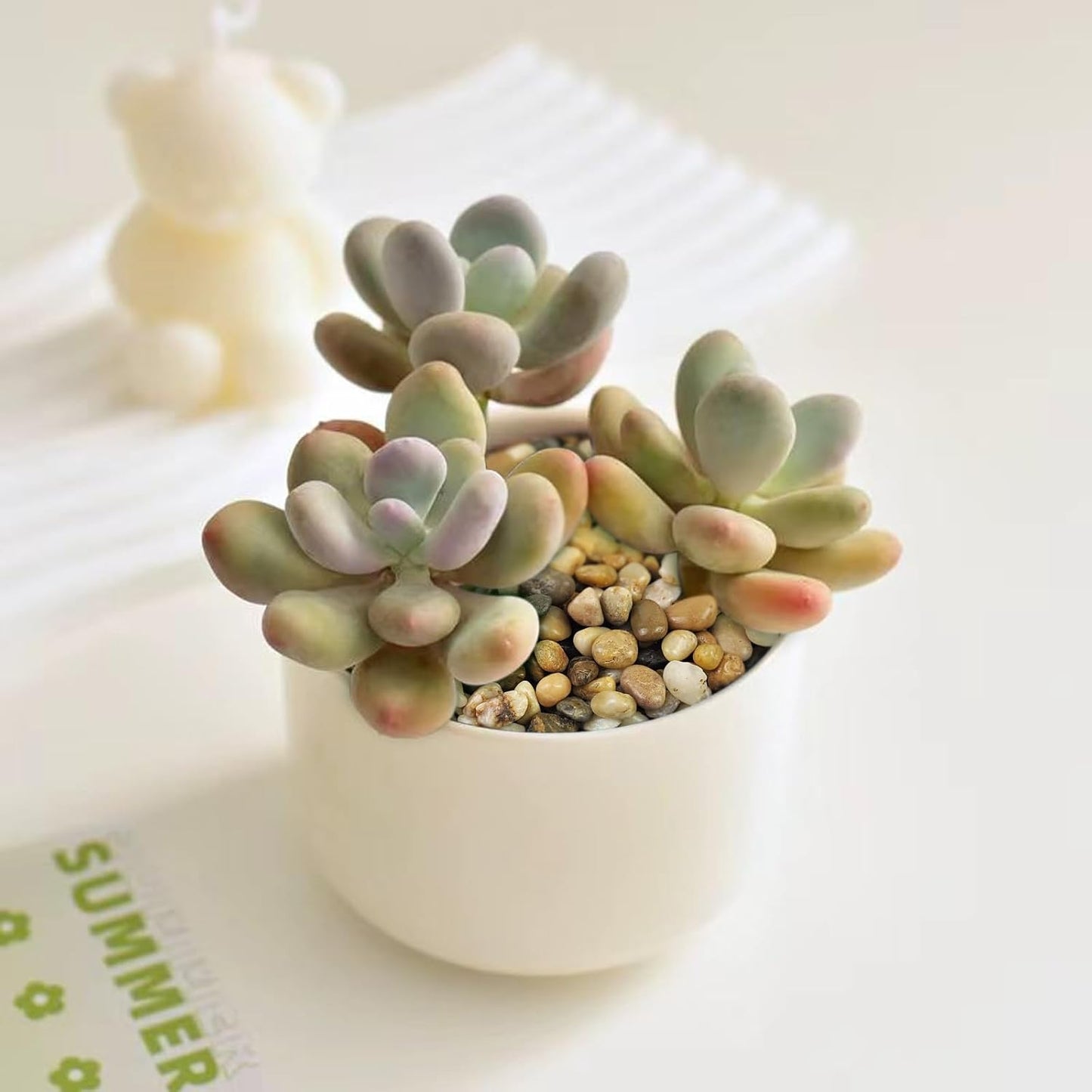 5 lbs Polished Pebbles, 3/8 Inch Pea Gravel for Plants, Decorative Stones River Rocks for Succulent Soil Cover, Cactus, Aquarium, Vase and Outdoor Garden Landscaping