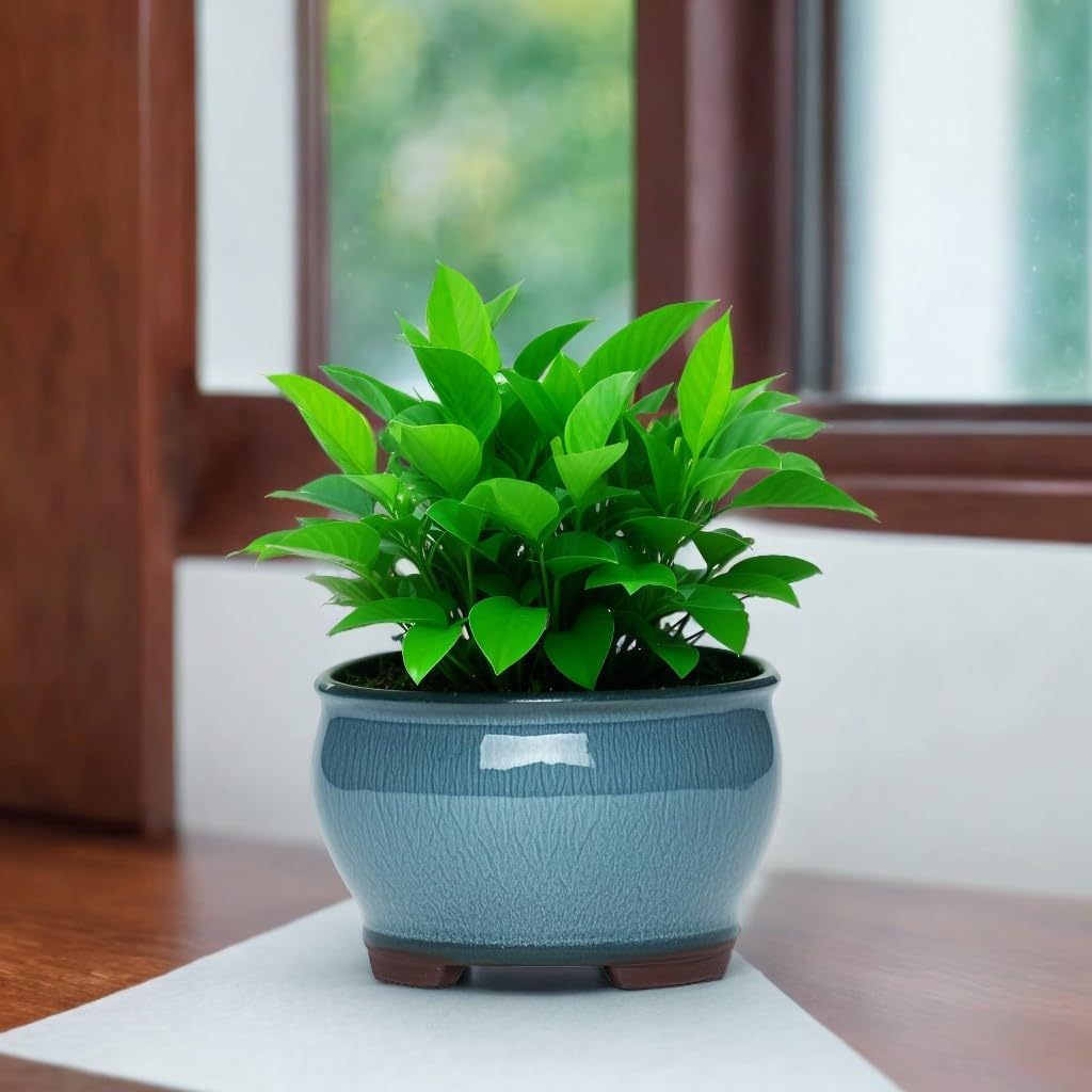 Ceramic Planter Pots with Drainage Hole, Small Flower Pot for Succulents, Orchid, Bonsai Plants, Indoor Outdoor Garden Windowsill Shelf Decor (Light Blue)