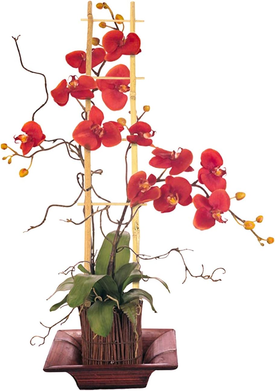 24 Inch Trellis for Potted Plants, 3 Pack Bamboo Trellis Indoor, Natural Garden Trellis for Climbing Plant Monstera Hoya Vegetables and Fruits