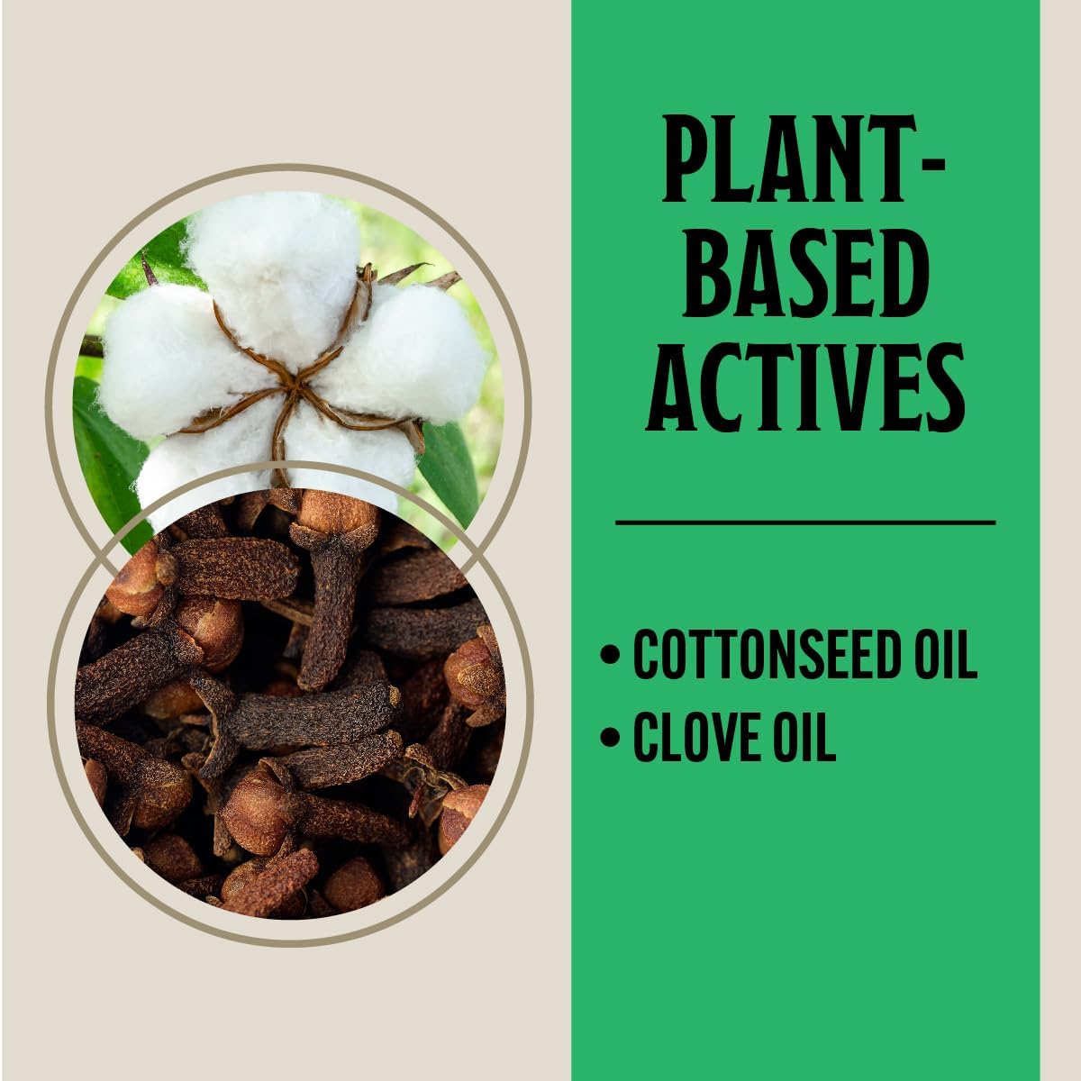 Grandpa Gus's Natural Pest Killer Spray, Ready-to-Use Indoor and Outdoor Insect Control, Kills Ants, Roaches, Spiders, Fleas, Ticks, Hornets, Wasps and More, Safe for Kids and Pets, 16 fl oz