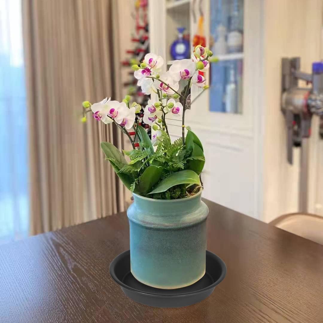 6 Pack of 8 inch Plant Saucer, Heavy Duty Plastic Plant Water Tray, Pebble Tray, Flower Saucers for Indoors, Pot Saucers, Bird Bath Bowls, Plant Dishes for Planter 7"/8" (8", Black)