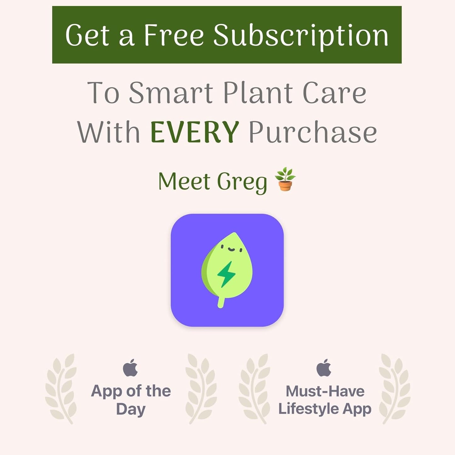 American Plant Exchange Snow & Summer Jasmine – 6-Inch with Pot – Live Fragrant Flowering Climbing Vine, Ideal for Trellises, Garden Beds, or Patio Decor