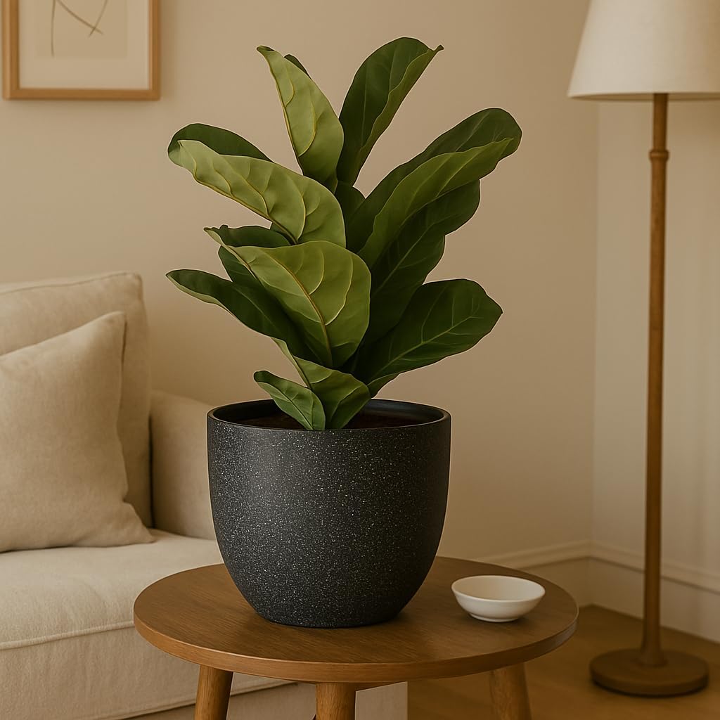 Giraffe Creation 12/10/9 Set of 3 Speckled Black Plant Pots, Modern Indoor & Outdoor Planters with Drainage Holes and Saucers