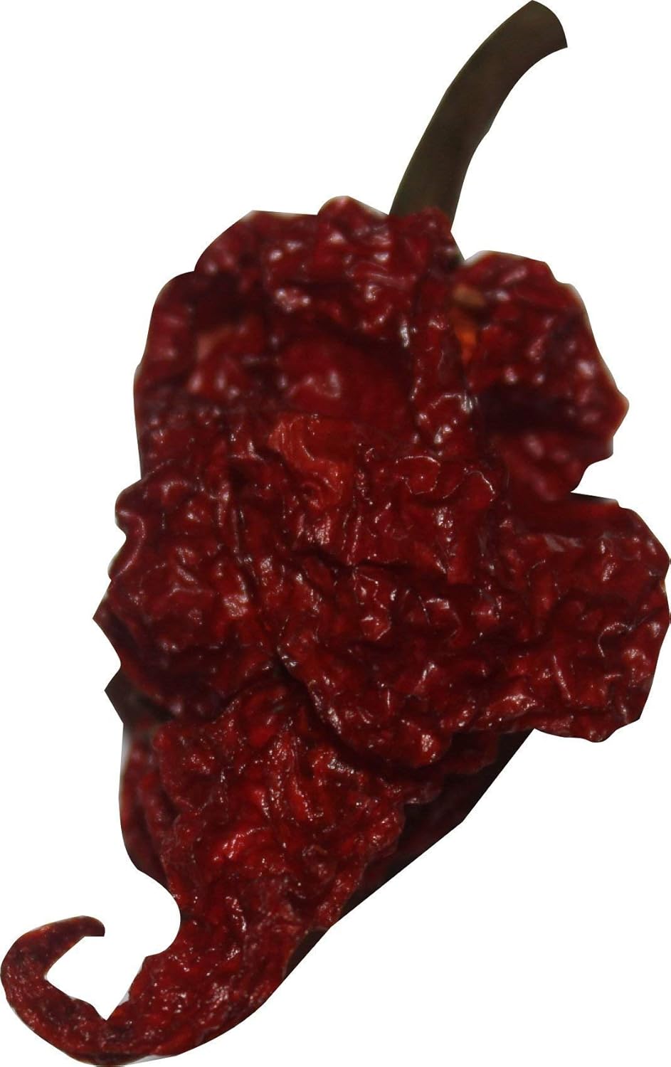 7 Dried Whole Scorpion Chili Peppers Trinidad Moruga Hot Pepper Red Tail +2 Free