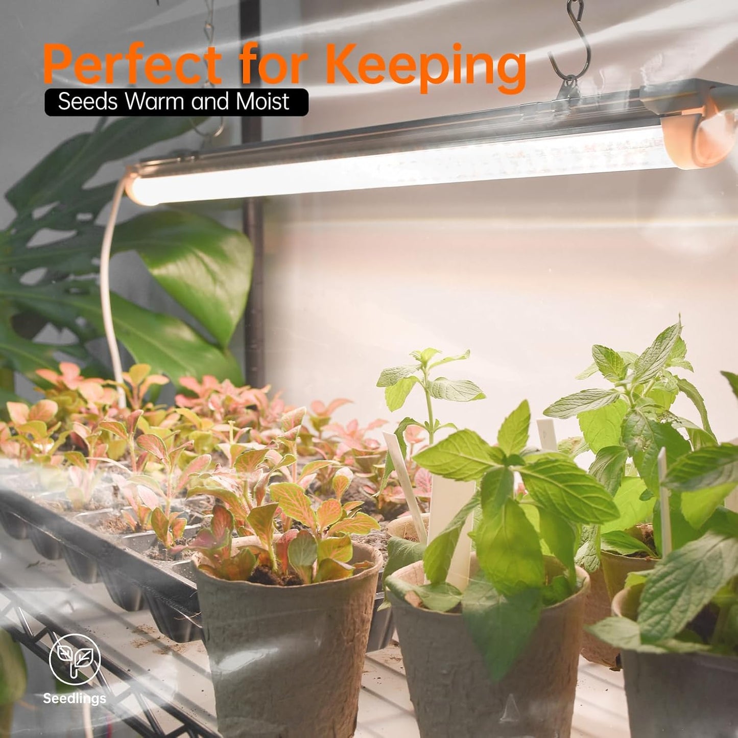 Indoor Greenhouse with Grow Light, Metal Plant Stand, 3 Pack T8 2FT Full Spectrum Plant Lights, Timer, Black, 23.5"x13.8"x59"