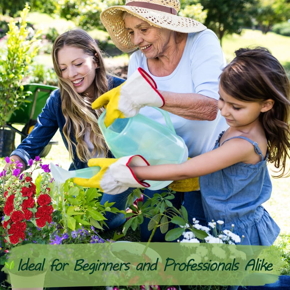 Premium Rare Hollyhock Seeds β 100+ Double Red Hollyhock Flower Seeds β Non-GMO, Heirloom Perennial β Showy Blooms for Outdoor Planting (Dwarf Double Red Hollyhock)