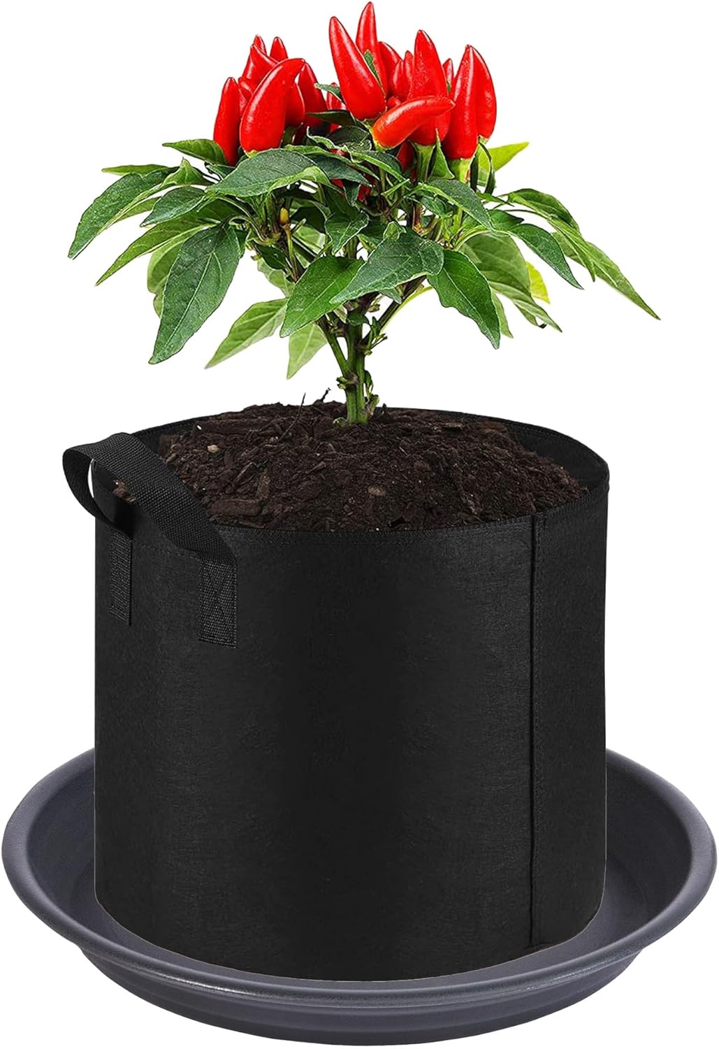 6 Pack Plant Saucer Drip Tray 7 8 inch, Plastic Flower Planter Saucers and Drip Trays for Indoors Outdoors, Heavy Durable Plant Plate Water Catcher, Plant Water Drip Trays for Pots (8", Dark Gray)