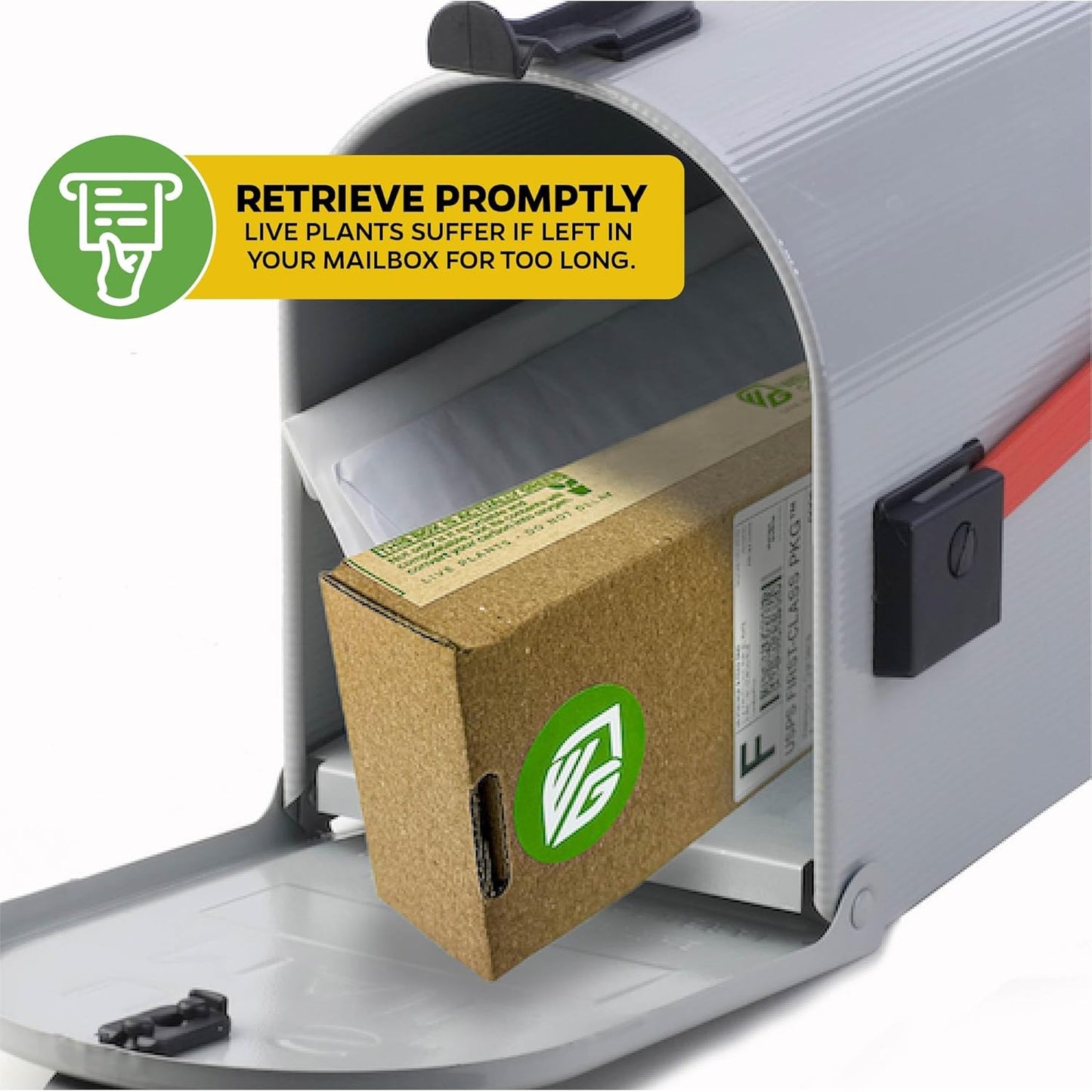 Bounty Passion Fruit Plant Vine – Passiflora by Wellspring Gardens – Sweet, Juicy Fruit – Fast-Growing & Vigorous – Great for Trellises, Fences & Containers (2-Pack)