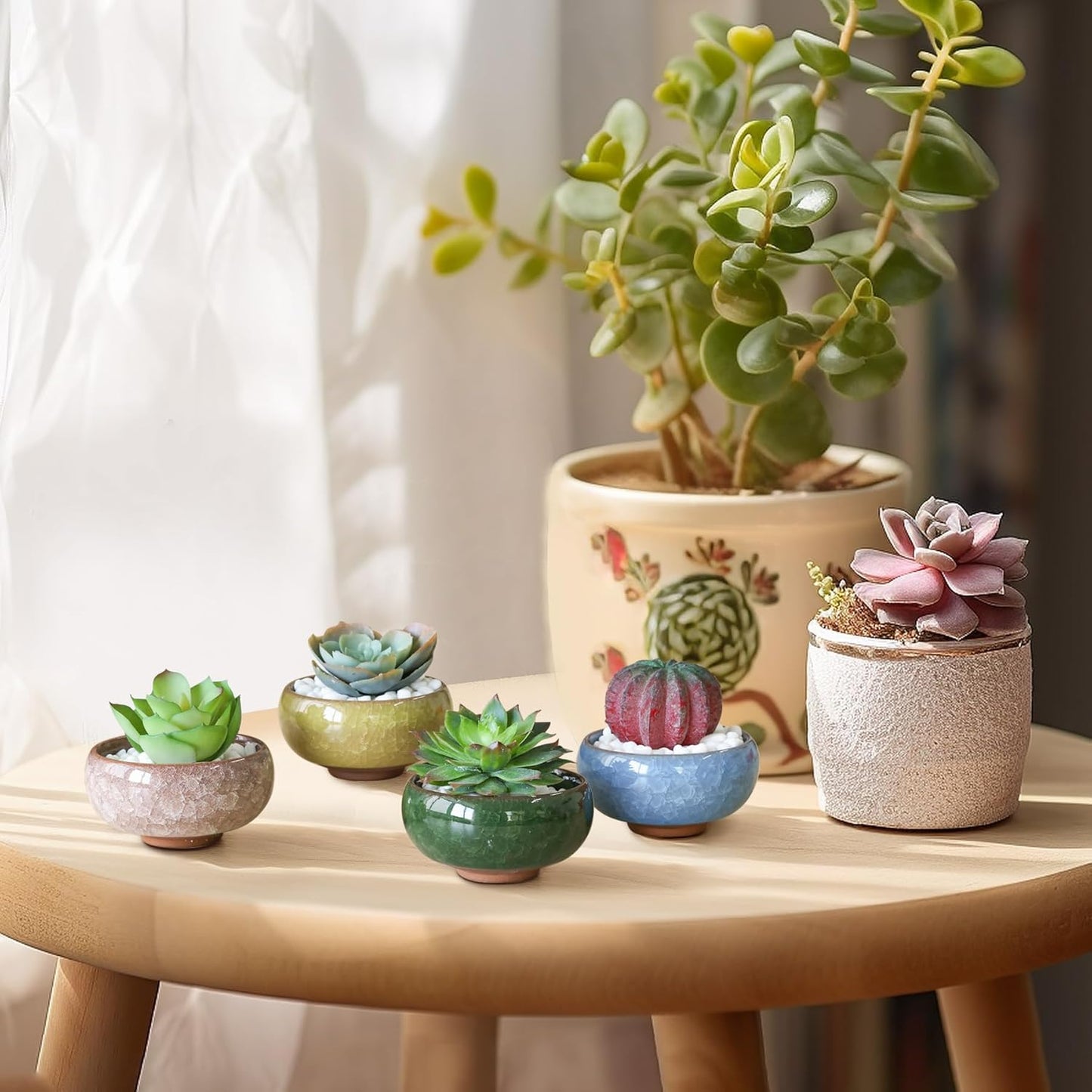 T4U 2.5 Inch Small Ceramic Succulent Planter Pot with Drainage Hole Set of 6, Ice Crack Glaze Plant Container for Cactus, Gardening Plant Gifts for Women Mom Aunt Home Office Decor