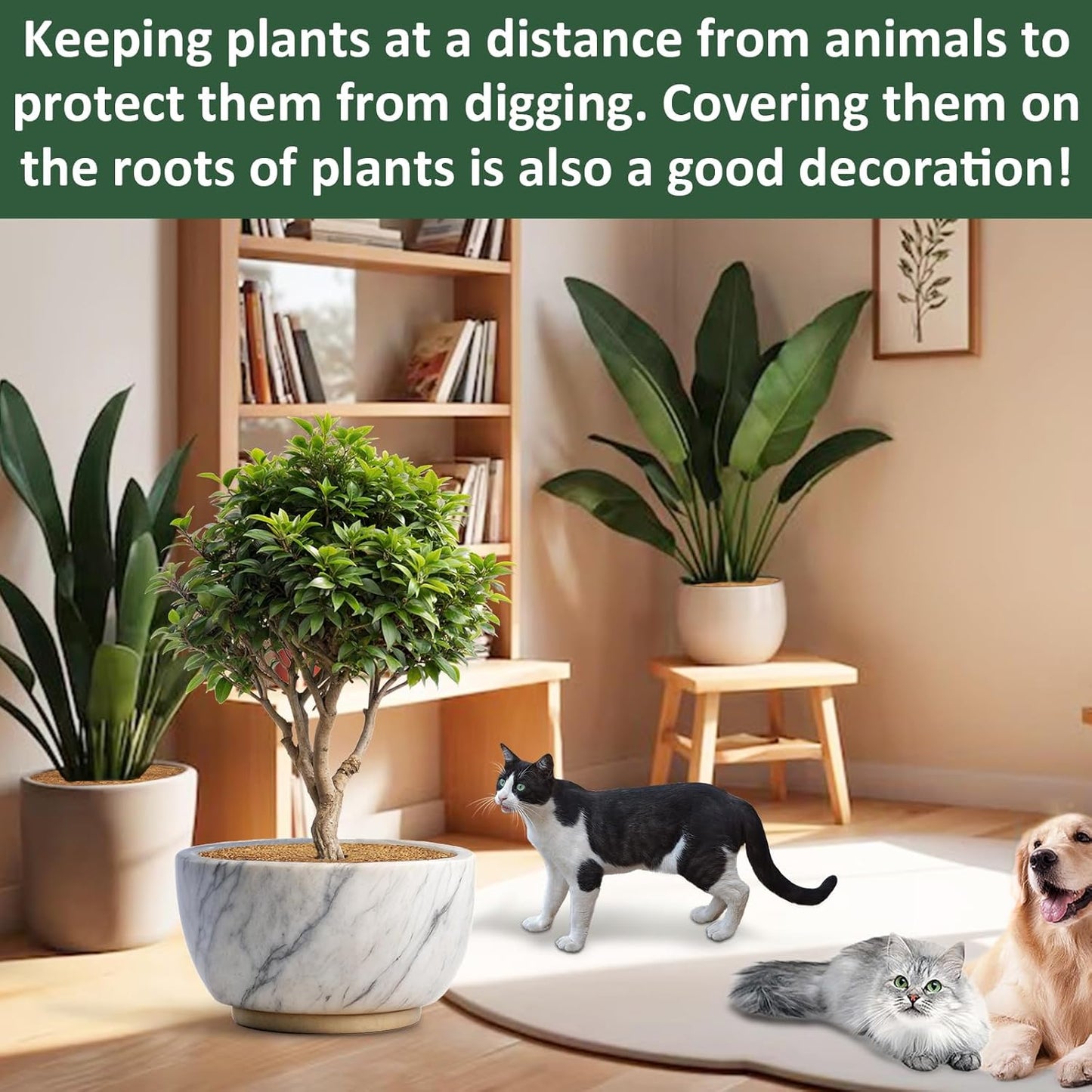 ZeeDix 4 Pack 18 Inch Coconut Fiber Tree Mulch Ring, 100% Natural Coco Coir Tree Ring Mulch Mat, Coconut Coir Discs Plant Cover Tree Protectors Mats Mulch Rings for Landscaping Trees Outdoor Plants