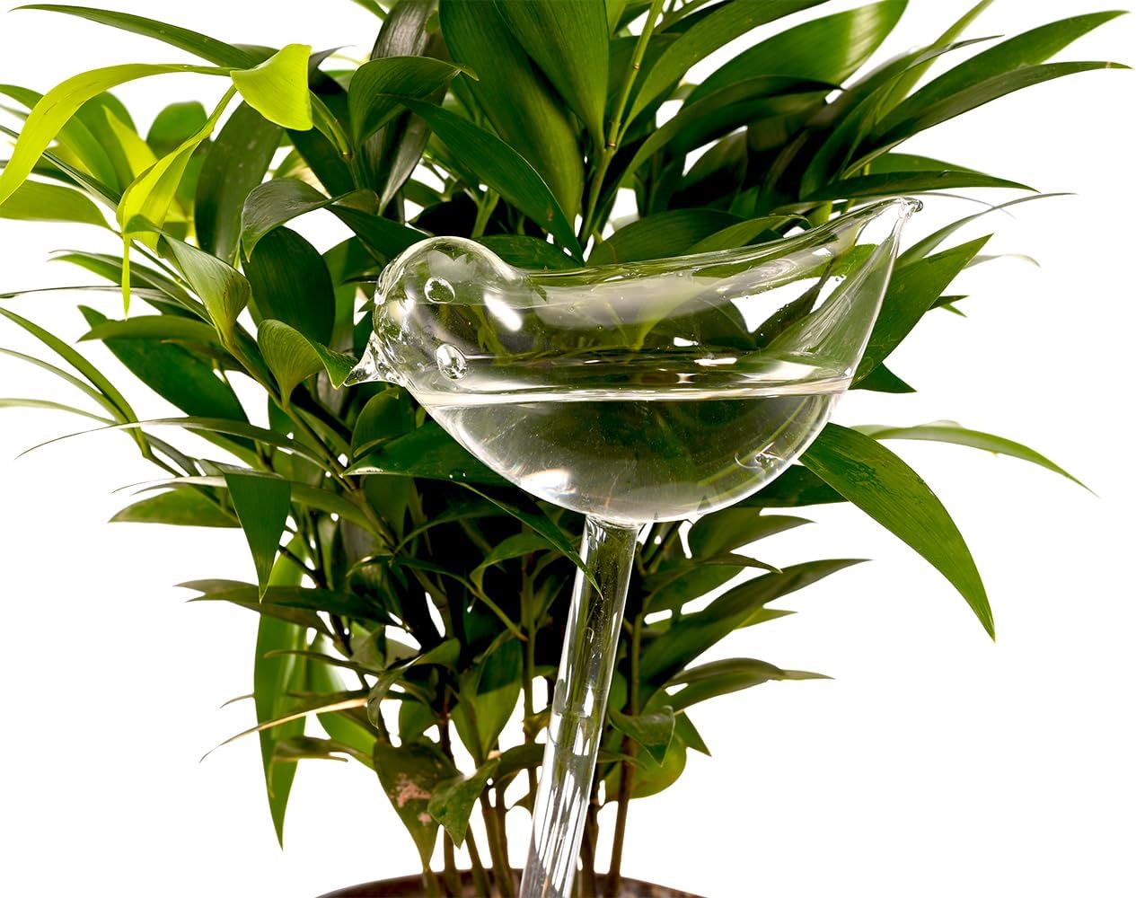 Glass Plant Watering Globes, Self Watering Globes Bird Shape, Self Watering Planter Insert, Plant Watering Devices, Automatic Plant Waterer Indoor, Watering Bulbs, 2 Pack