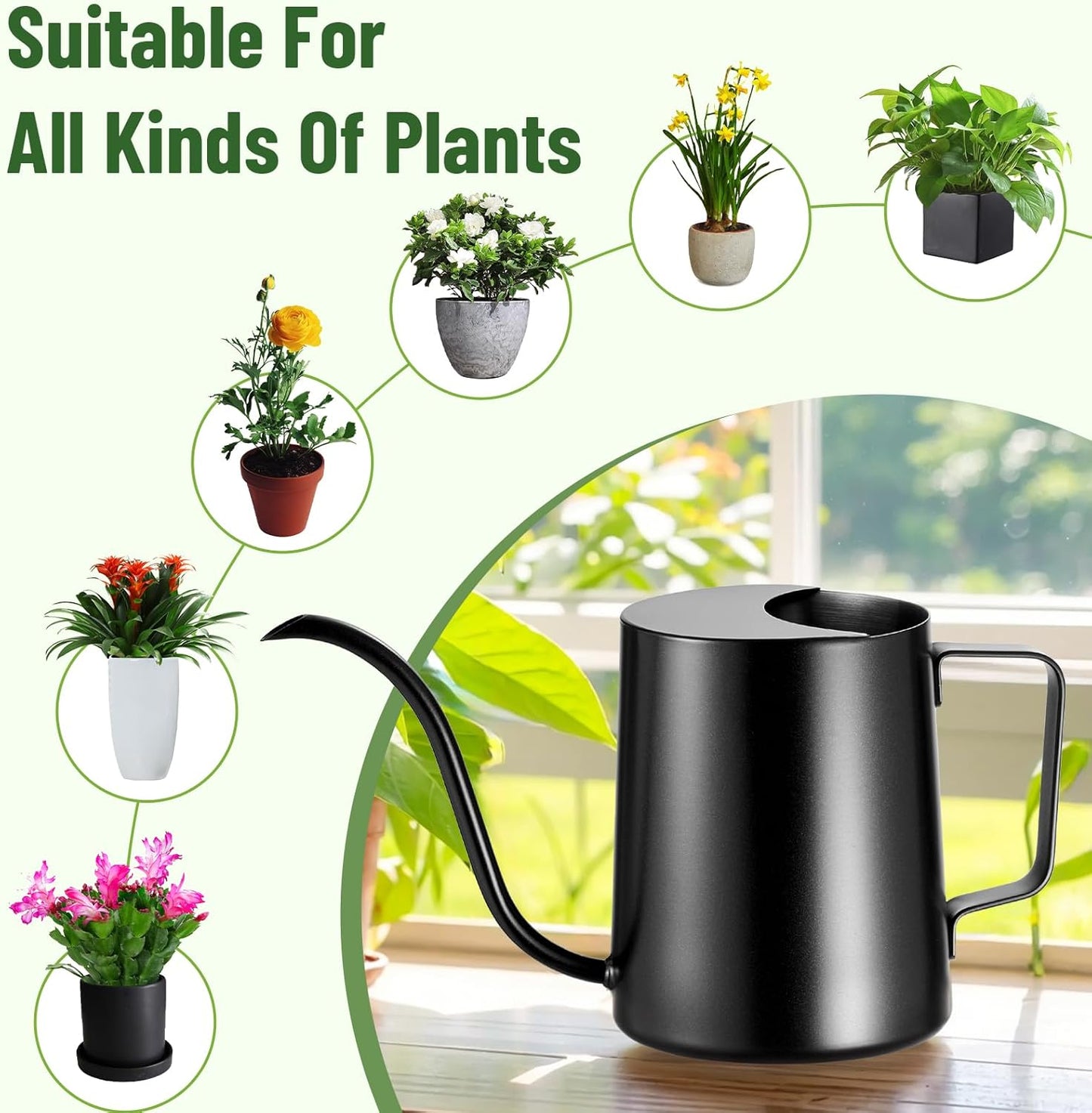 20oz/600ml Watering Can Indoor Plants, Stainless Steel Plant Watering Can with Long Spout (Black)