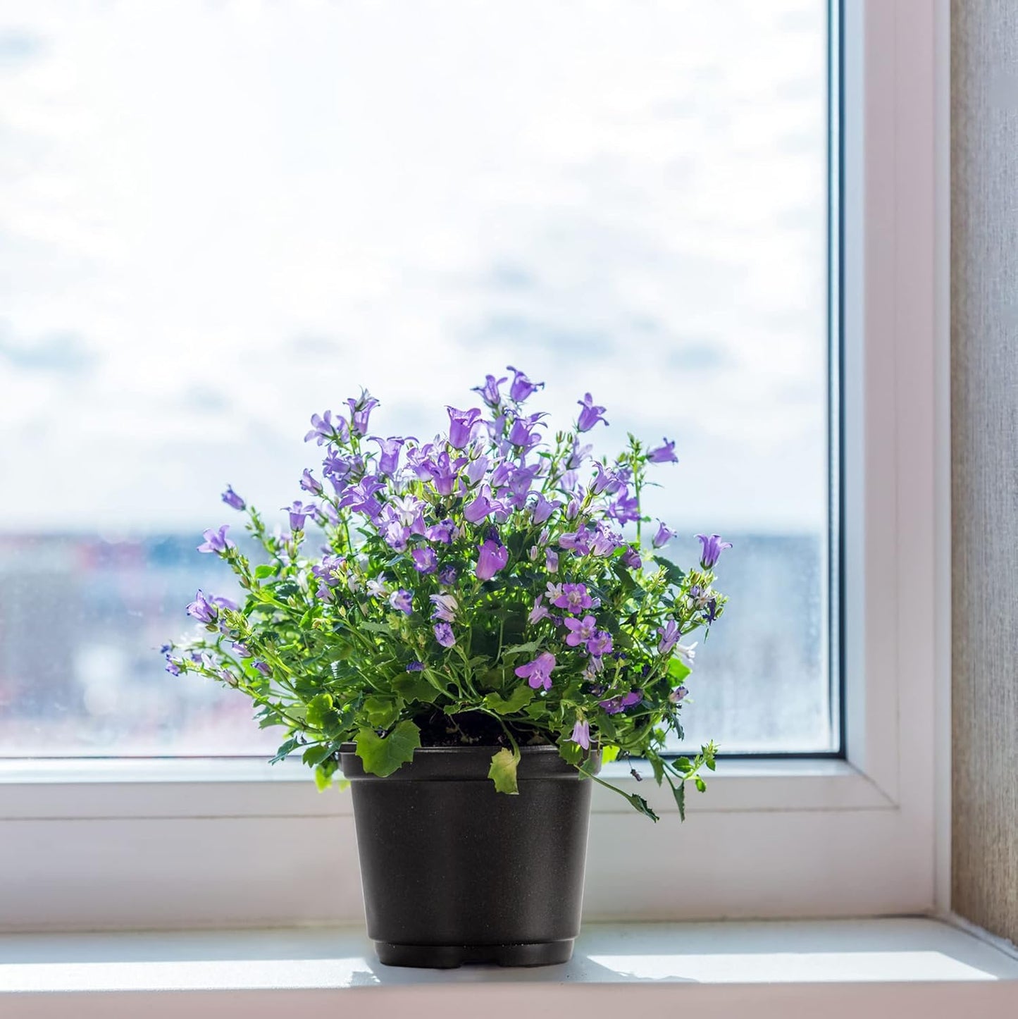 MIXC Plant Nursery Pots with Humidity Dome 4" Soft Transparent Plastic Gardening Pot Planting Containers Cups Planter Small Starter Seed Starting Trays for Seedling with 10pcs Plant Labels,30 Sets…