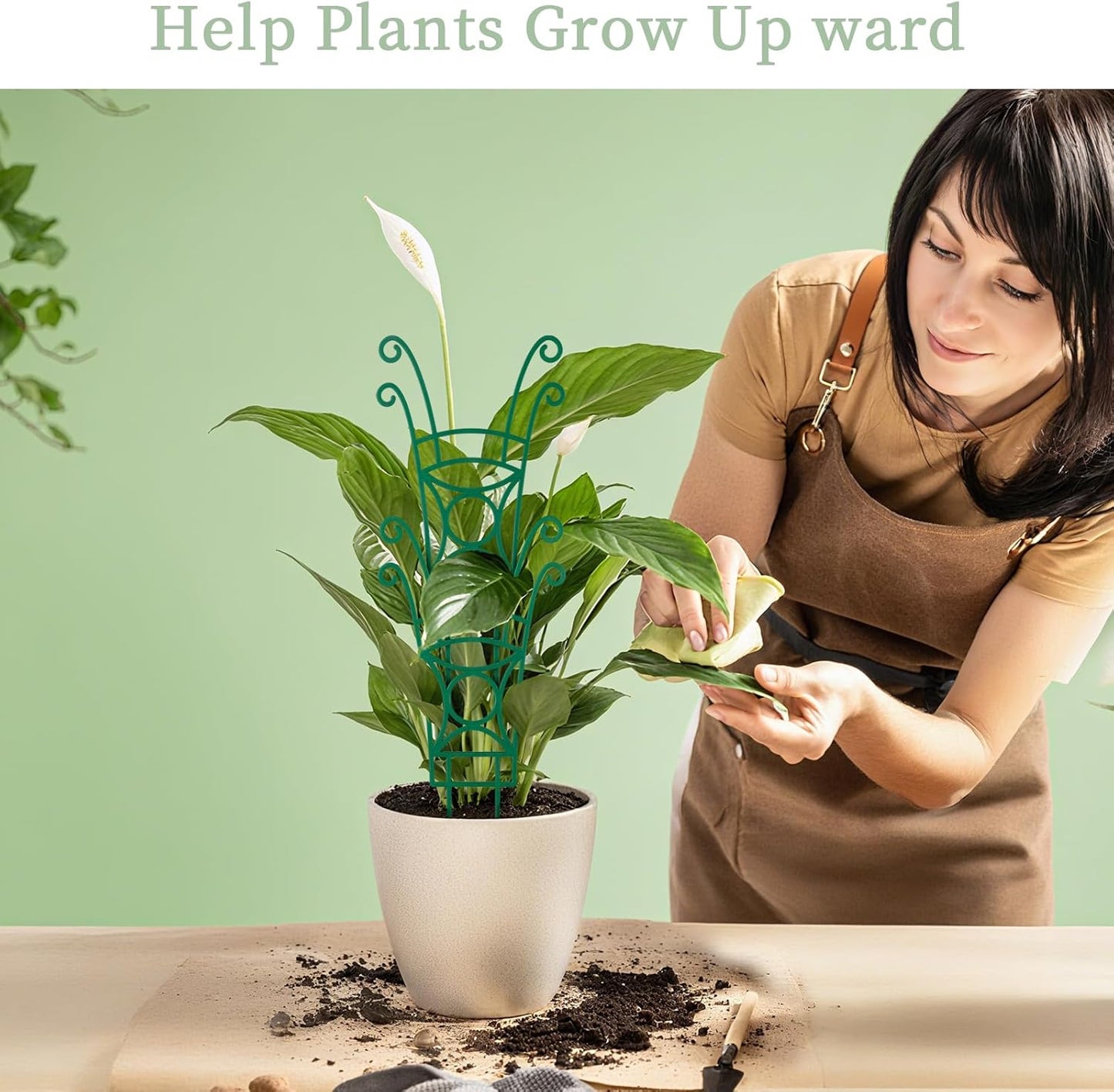 8 Pack Trellis for Potted Plants, Stackable Indoor Plant Trellis for Climbing Plants, Garden Trellis Outdoor for Flower Vine Lvy Hoya Houseplants Plant Support