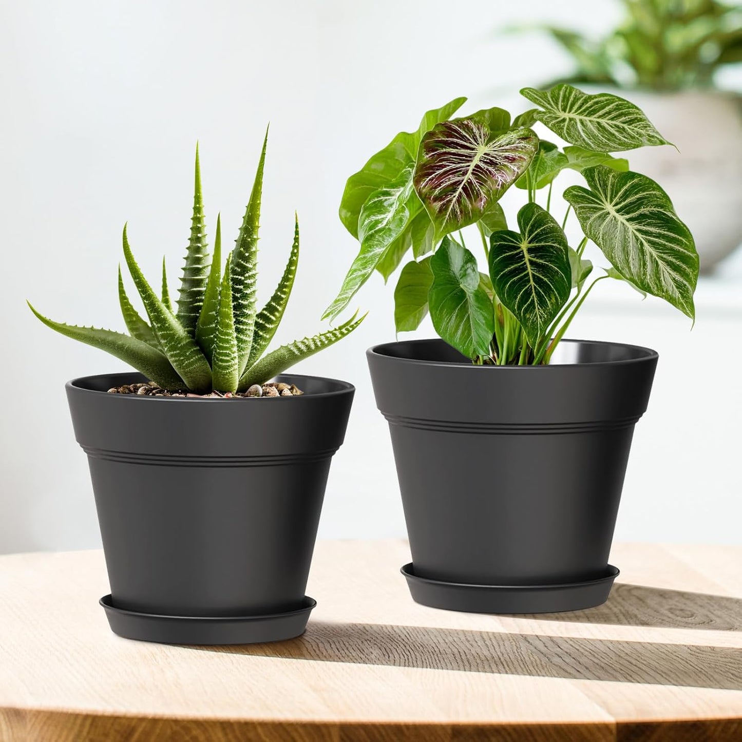 6 Inch Thick Plastic Plant Pots with Drainage Holes and Trays – 6 Pack Nursery Pots for Indoor & Outdoor House Plants, Seedling Starter Planters for Garden Flowers, Matte Black