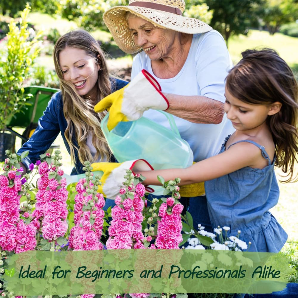 Premium Rare Hollyhock Seeds β 100+ Double Pink Hollyhock Flower Seeds β Non-GMO, Heirloom Perennial β Showy Blooms for Outdoor Planting (Double Pink Hollyhock)