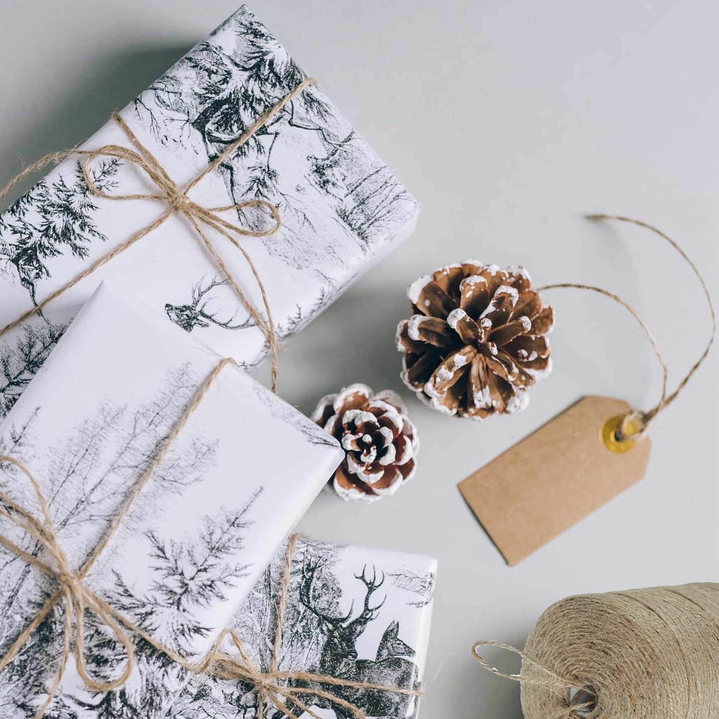 ARISKEY Natural Jute Twine 3mm,1313 Feet Garden String Long Cord Suitable for Crafting and Weaving Projects,Gardening Purposes and Outdoor Heavy-Duty Use