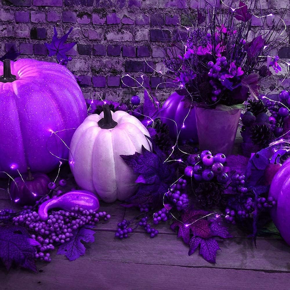 2 Pack Solar Powered Fairy String Lights Outdoor Waterproof 8 Modes Twinkle Christmas Decorations Lights, Each 33ft-100LED, 40ft-120LED, 66ft-200LED, 80ft-240LED, (Purple, 33)