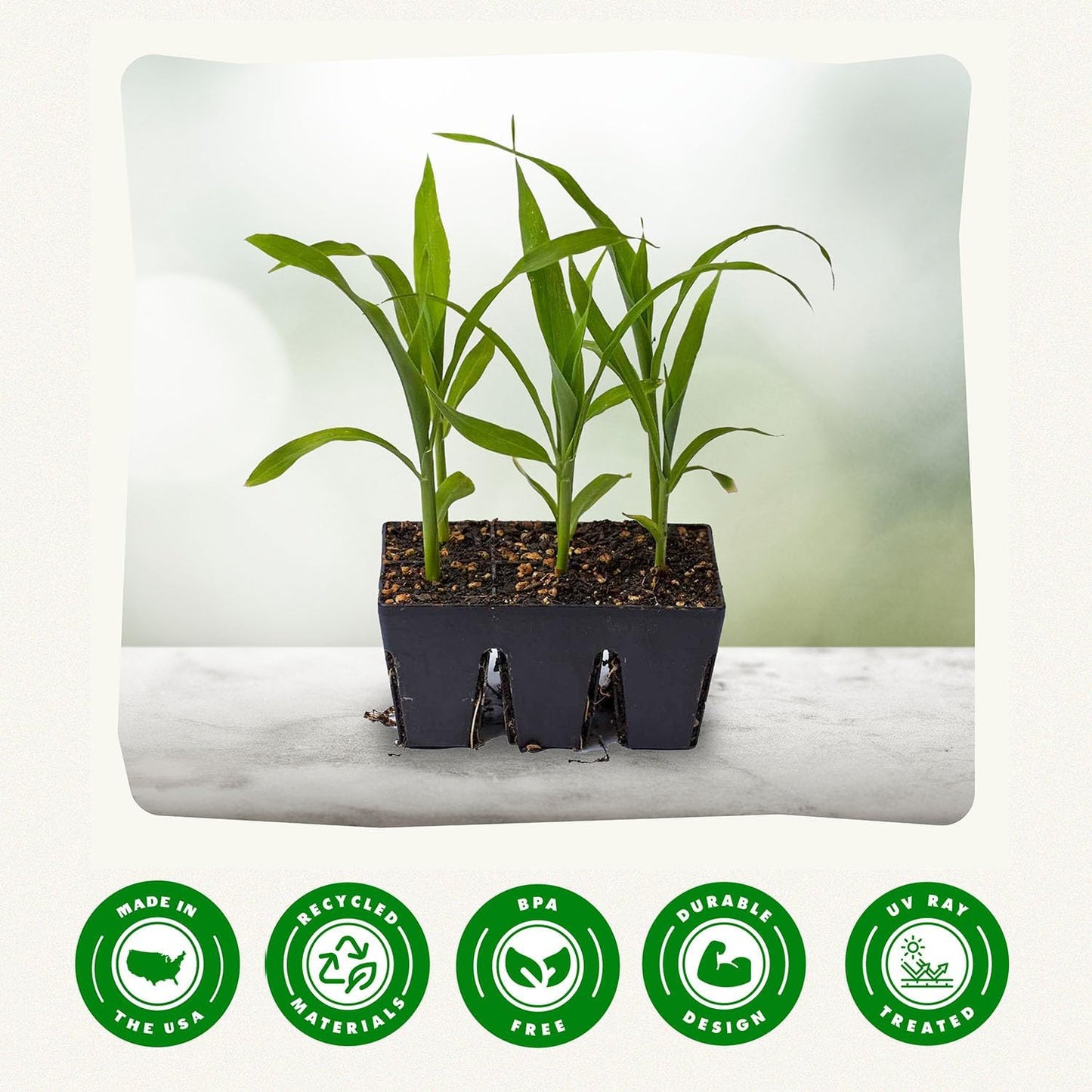 Epic Gardening Reusable Seed Starter Tray - 6 Cell/24 Seedling Starter Trays - Easy Watering, Indoor Greenhouse, Plant Starter, Gardener-Friendly for Seedlings | UV-Treated & BPA-Free - Black