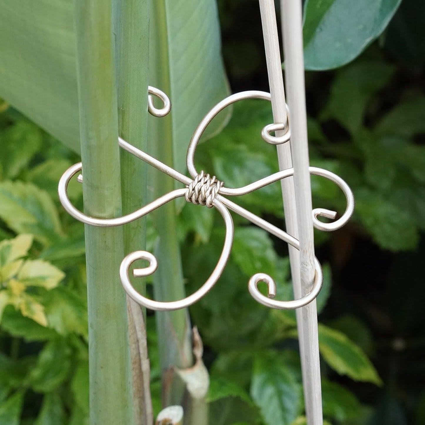 5PCS Plant Stem Support - Durable 5pcs Iron Grapple Holder for Monstera & Climbing Plants, Unique Design for Optimal Growth, Bamboo Clamp Set for Leaf Stabilization and Support (Gold)