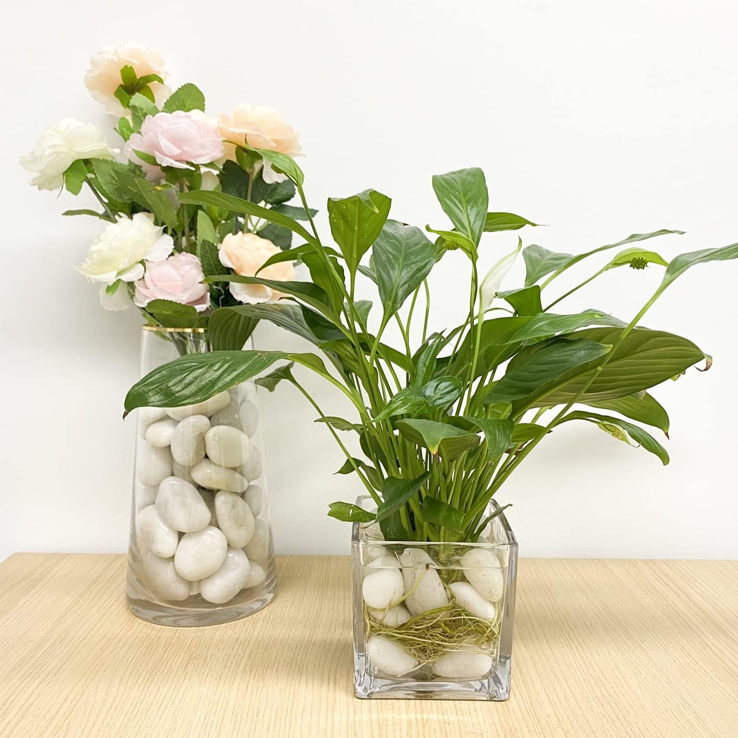 10 lbs White Pebbles for Indoor Plants, 0.8-1.2 Inch Small White River Rocks Stones for Planters, Vases, Fish Tank, Garden, Landscaping, Top Dressing and Bottem Drainage