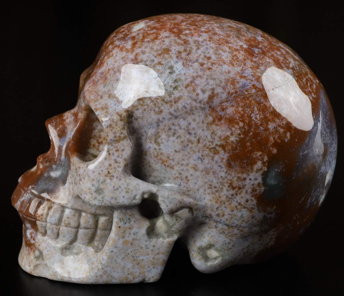 Skullis 5.0” Red Moss Agate Crystal Skull, Hand Carved Gemstone Fine Art Sculpture, Reiki Healing Stone Statue.1386 Z8