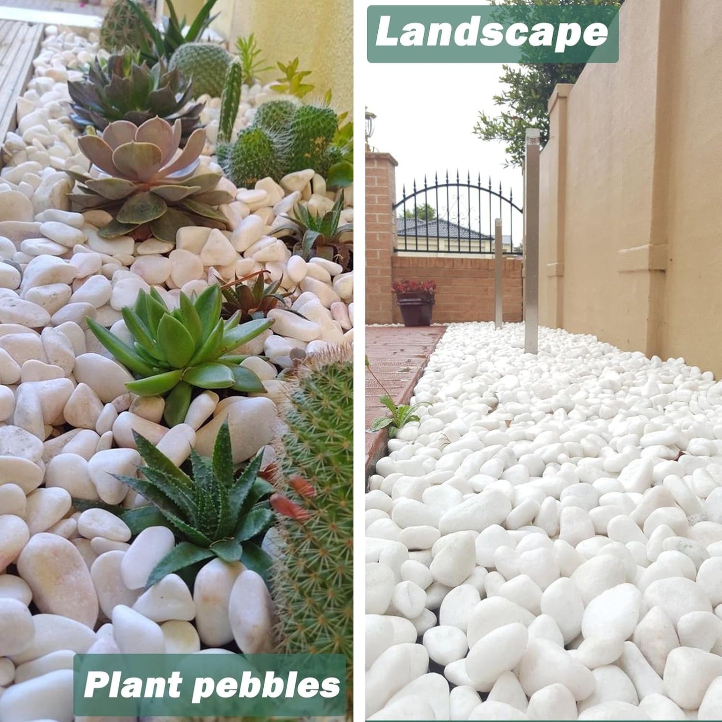 11 Lbs Natural River Rocks for Plants 0.6-0.8 inches Small White Landscaping Garden Stones White Aquarium Gravel Decorative Pebbles for Indoor Outdoor Planters Home Decor