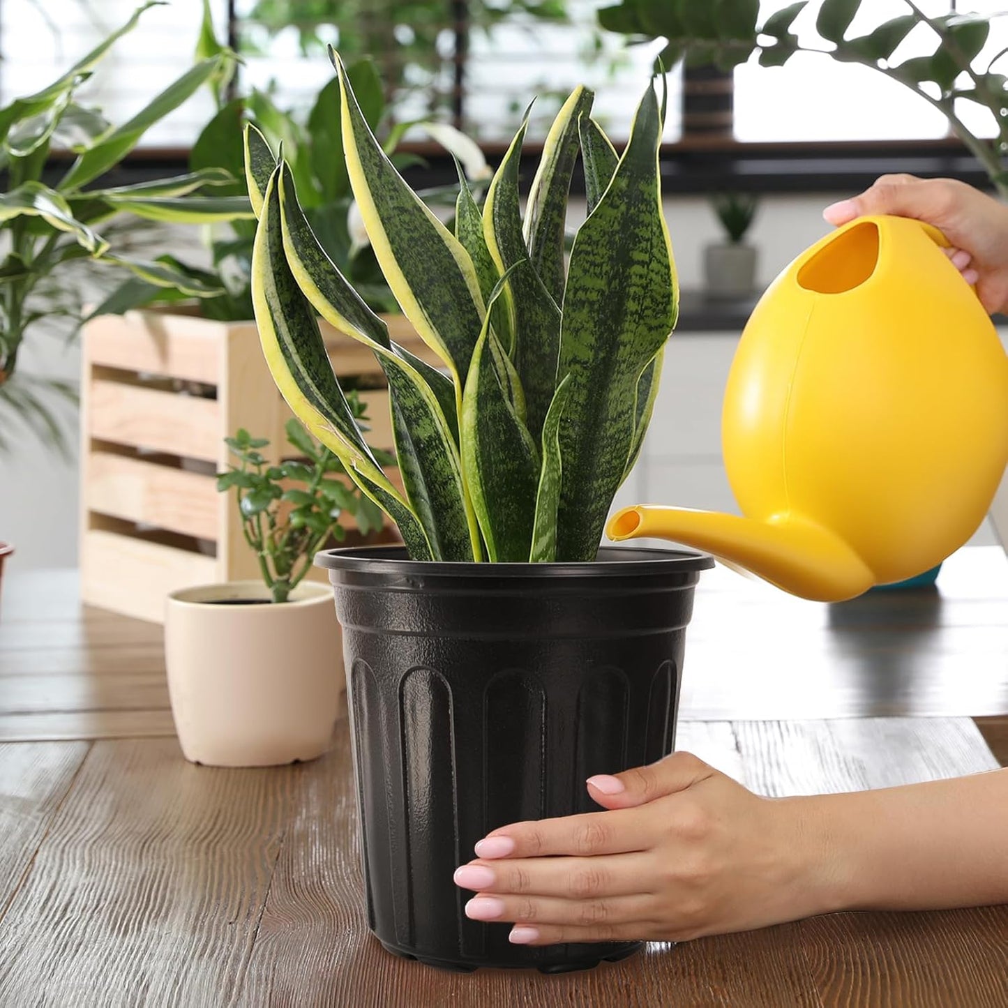 100 Pack 1 Gallon Flexible Plant Nursery Pots, Thickened Soft Plastic Plant Pots with 100Pcs Waterproof Plastic T-Type Plant Tags and 2Pcs/Set Transplanting Digging Mini Tools(Black)