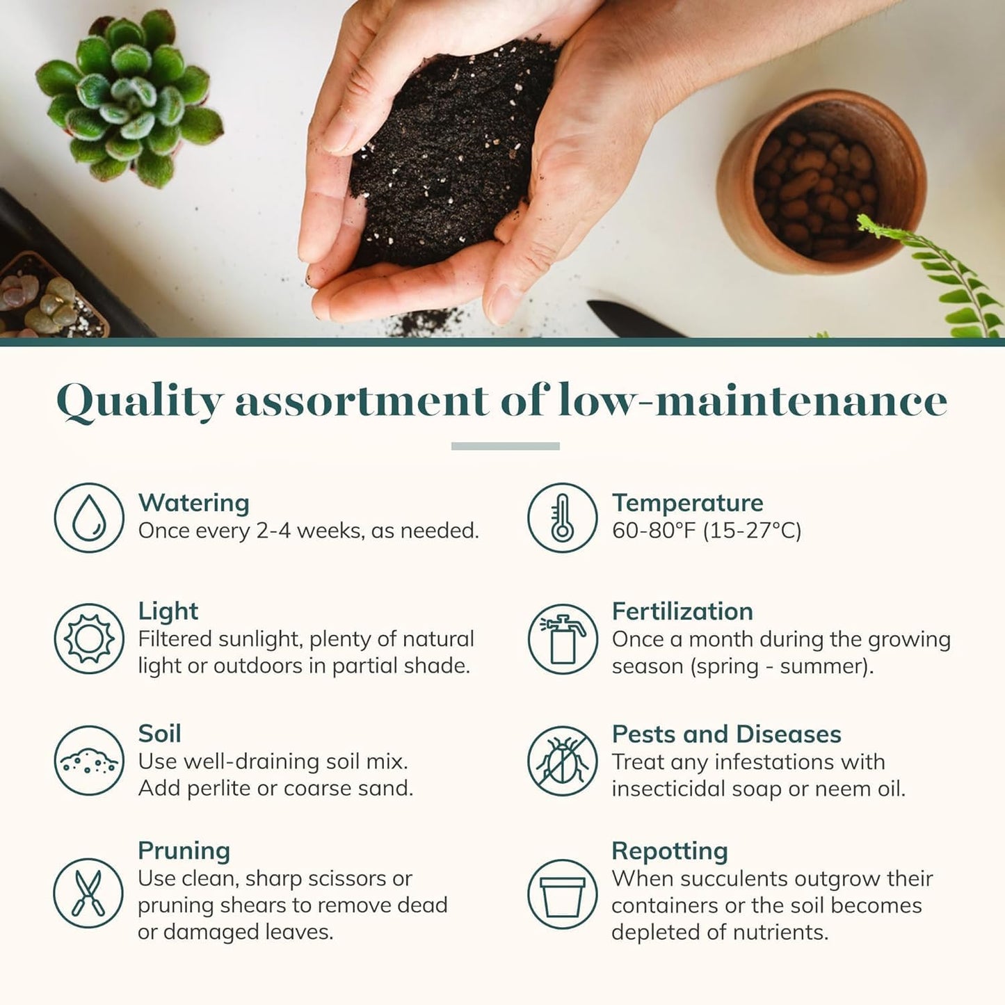 Shop Succulents Rosette Succulent Plant Pack Collection - Live Mini Succulent Plants, Low Maintenance, Floral Shaped Mix of Colors & Textures - Wedding and Party Favors, Gift & Garden, Pack of 100