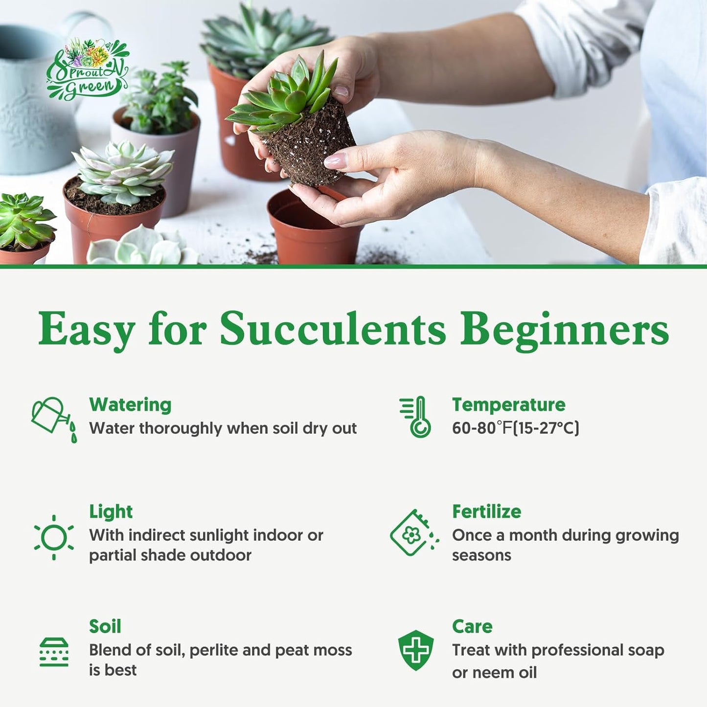 Sprout N Green Echeveria Roca, Live Succulent Plant Fully Rooted in 2" Pots with Soil Mix, Real Houseplant for Indoor Outdoor Home Office Wedding Decoration Party Favor