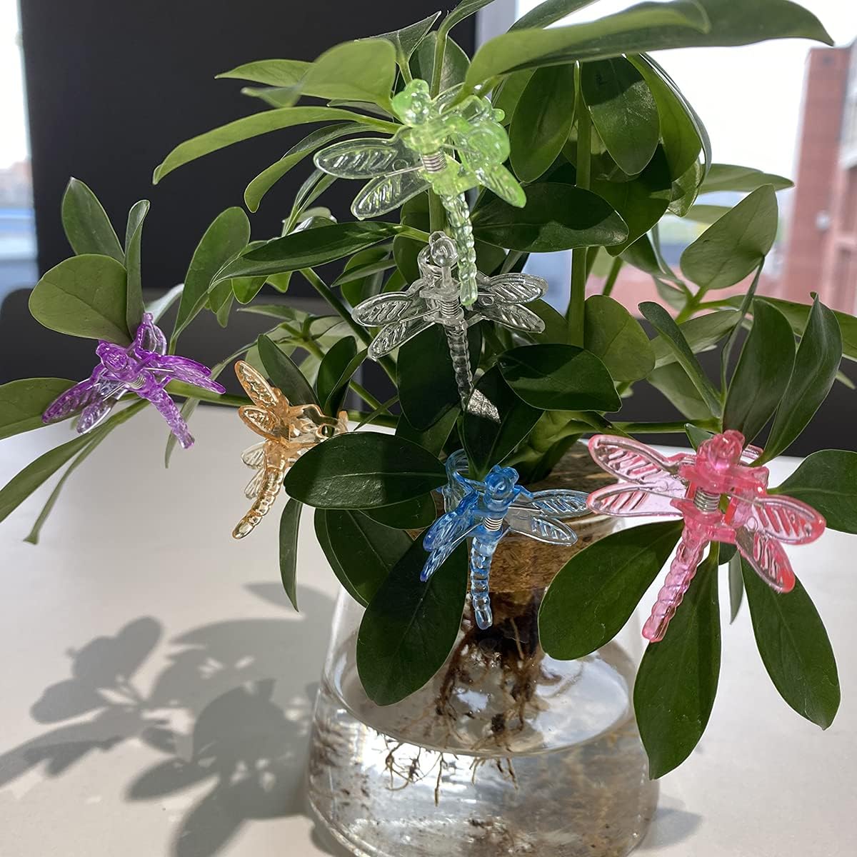 30Pcs Colorful Dragonfly Orchid Clips, Garden Plant Vine Support Clips Flower Clips