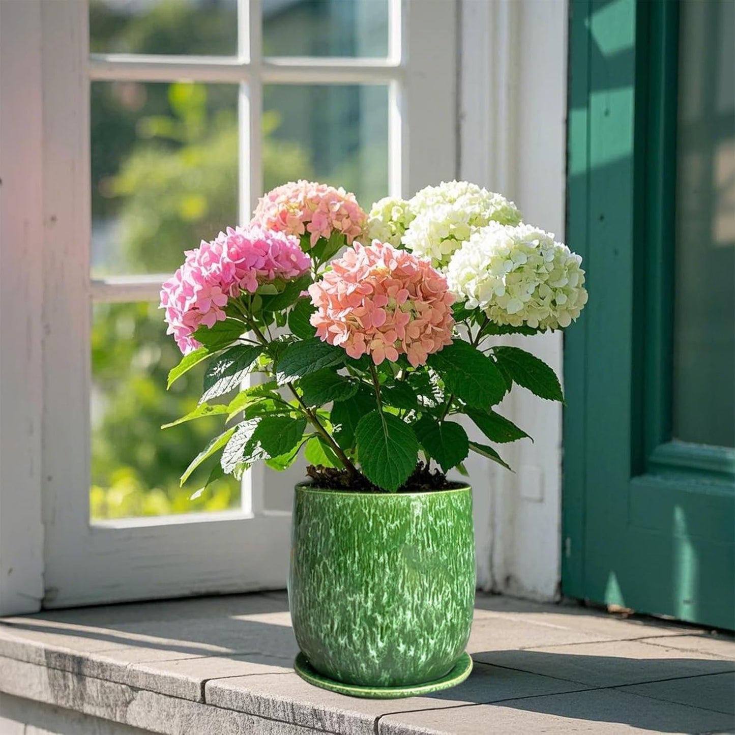 6 in Ceramic Plant Pot with Saucer,Indoor Plant Pot for Plants, Flower Pot with Drainage,Reactive Glaze Green