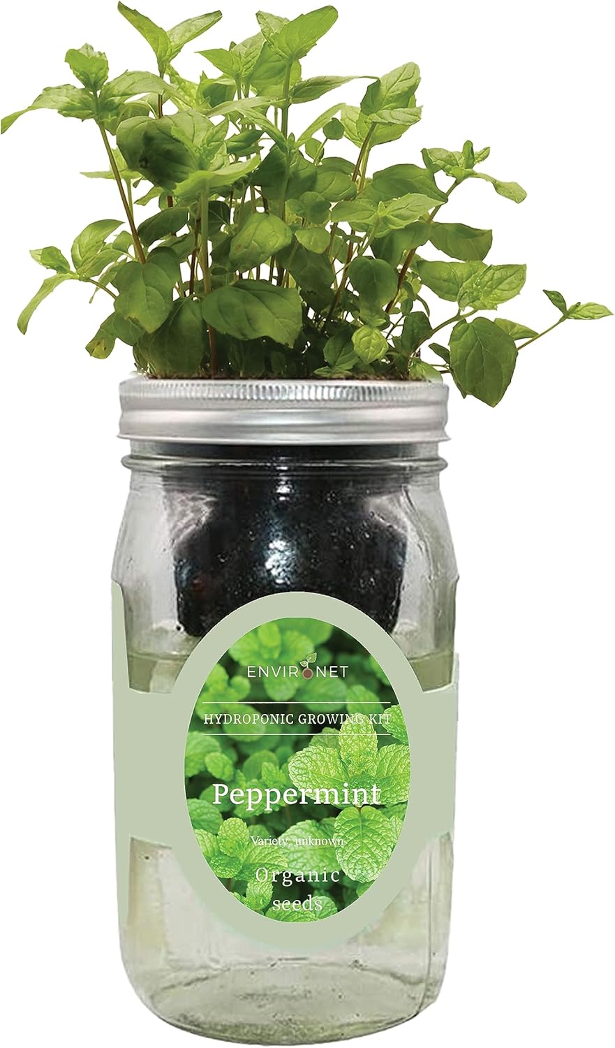 Hydroponic Herb Growing Kit, Self-Watering Mason Jar Herb Garden Starter Kit Indoor, Grow Your Own Herbs from Seeds (Peppermint)