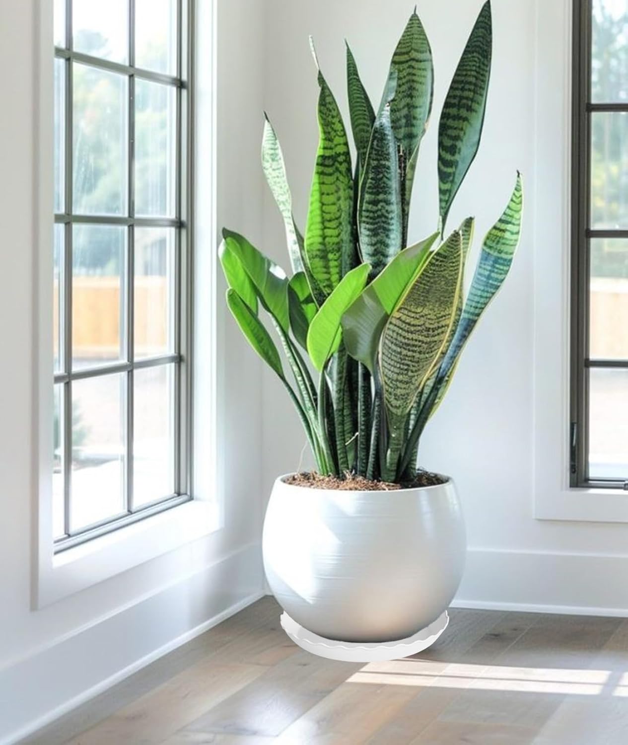 2 Pack of 14 inch Plant Saucer Plant Tray, Plastic Plant Saucer, Heavy Duty Plant Tray for Pots, Plant Saucers for Indoors Planter, Garden Water Plate Bowls for Gallon Grow Bags (White)