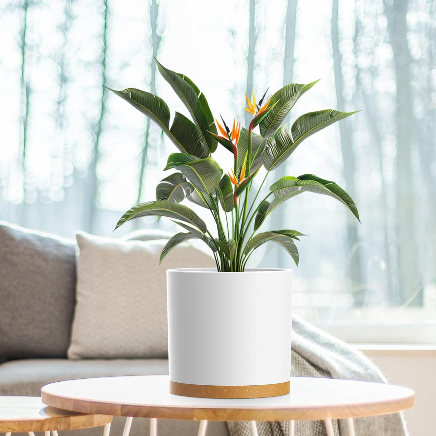 8 Inch Cylinder Flower Pots for Indoor Outdoor Plants, Medium Deep Plant Pots with Drainage Holes & Saucer, Decorative Plastic Planter Pots for Garden House Plants, White with Brown