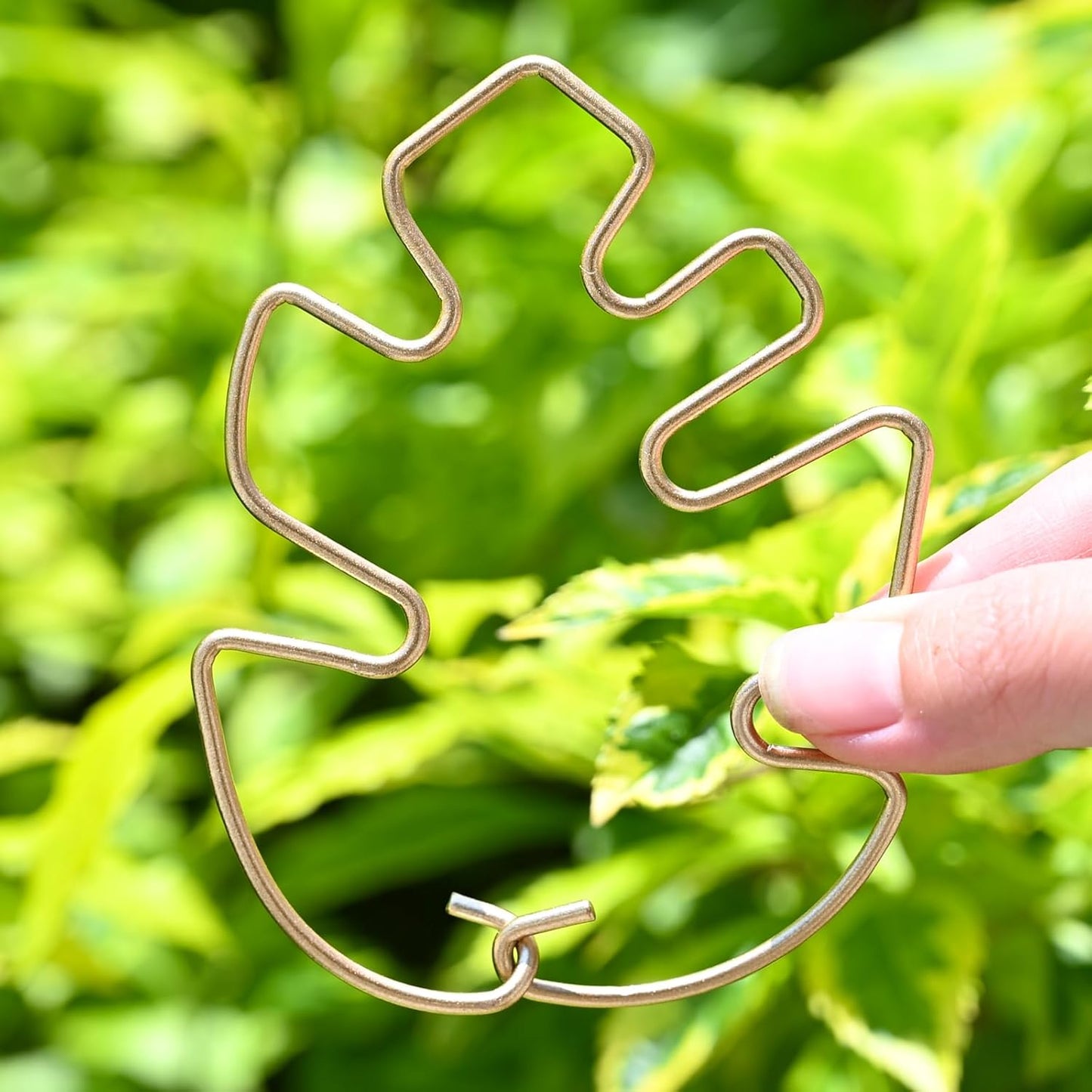 5Pcs Monstera Stem Support for Indoor Plants - 4.13 * 2.95 in- Durable Plant Support Stake Holder & Adjustable Clamp Kit for Monstera and Climbing Plants for Gardening Enthusiasts