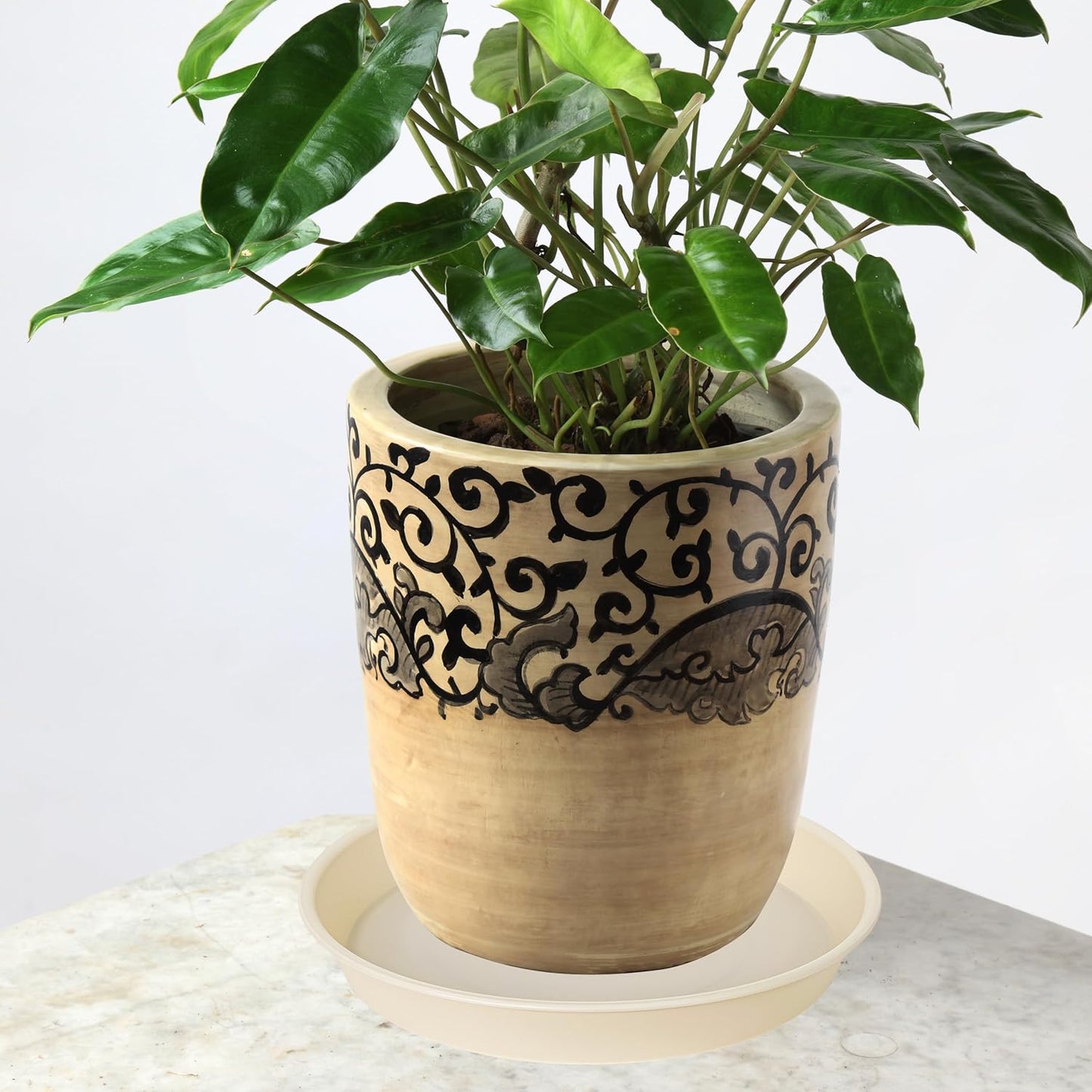 6 Pack of 6 inch Plant Saucer Drainage Tray, 4 5 7 8 10 12 13 15 17 19 inch Plastic Plant Water Tray, Flower Saucers for Indoors, Plant Dishes for Pots Base (6 inch, Beige)