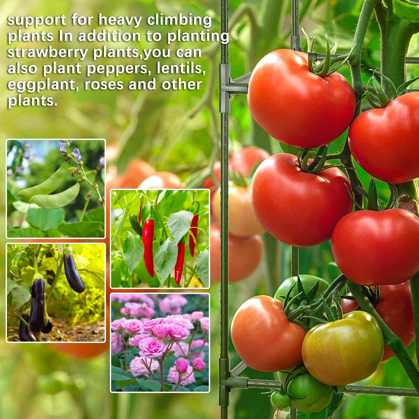 arbxvnrUp to 48.8in Square Tomato cage Garden mesh Plant Support Posts, quadrangular Adjustable Tomato Stand Pot Picking mesh (1pack)