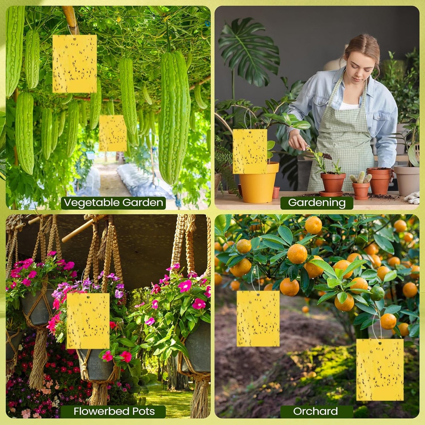 Qualirey 50 Pcs 6 x 8 Inch Sticky Traps for Plant Double Sided Sticky Trap for Gnats with Twist Ties Fly Traps for Fruit Insect Fungus Bugs Indoor Outdoor (Yellow)