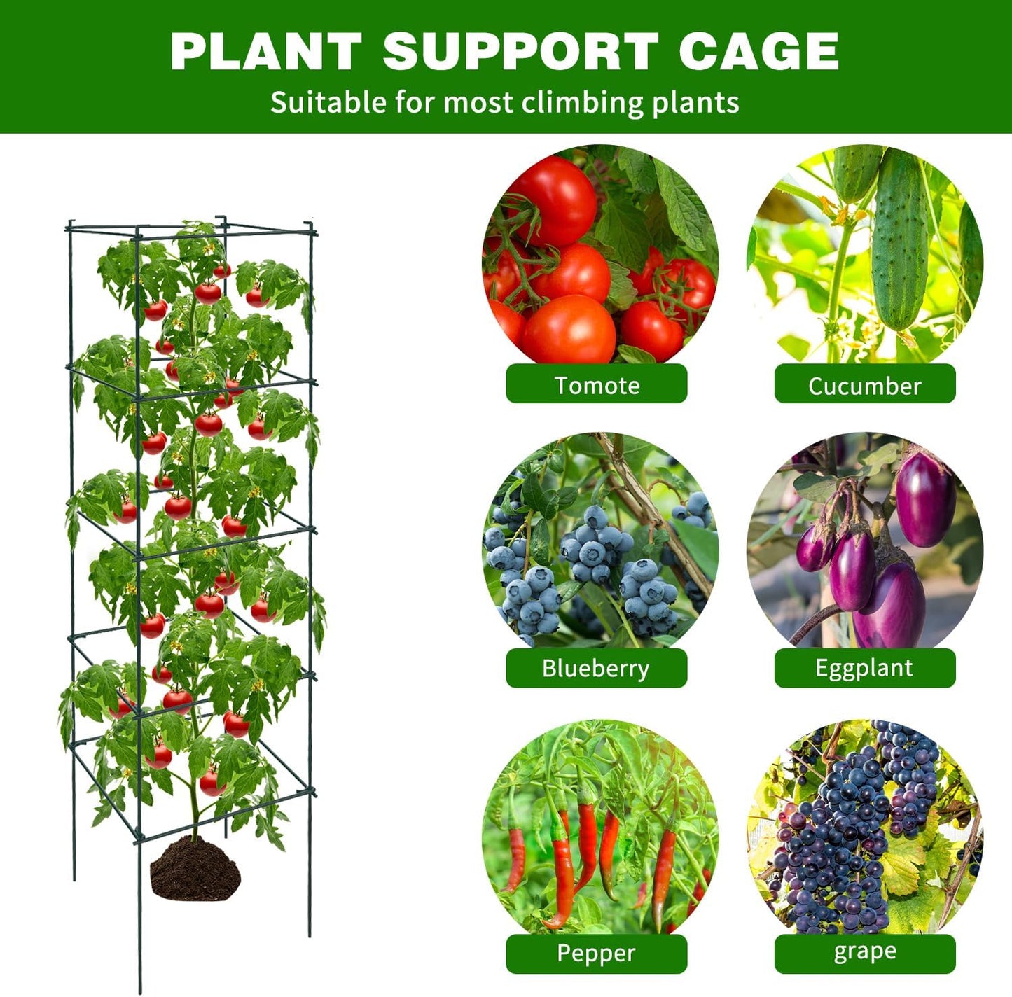 6 Packs Tomato Cages for Garden, 12"×12"×48" Plant Support Cage with Different Spacing, Green Metal Trellis for Climbing Plants Like Cucumber, Flowers