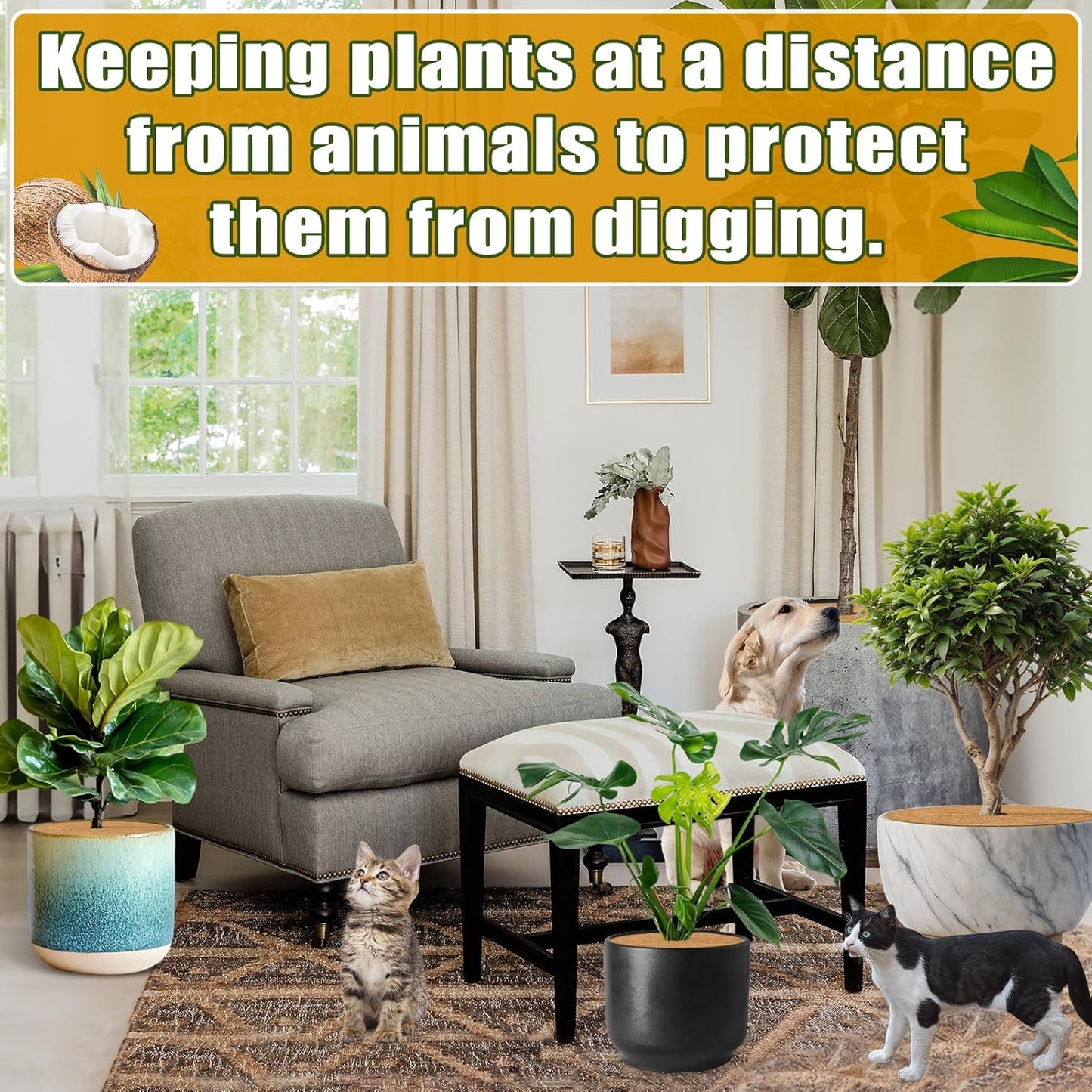 ZeeDix 6 Pack 18 Inch Coconut Fiber Tree Mulch Ring, 100% Natural Coco Coir Tree Ring Mulch Mat, Coconut Coir Discs Plant Cover Tree Protectors Mats Mulch Rings for Landscaping Trees Outdoor Plants