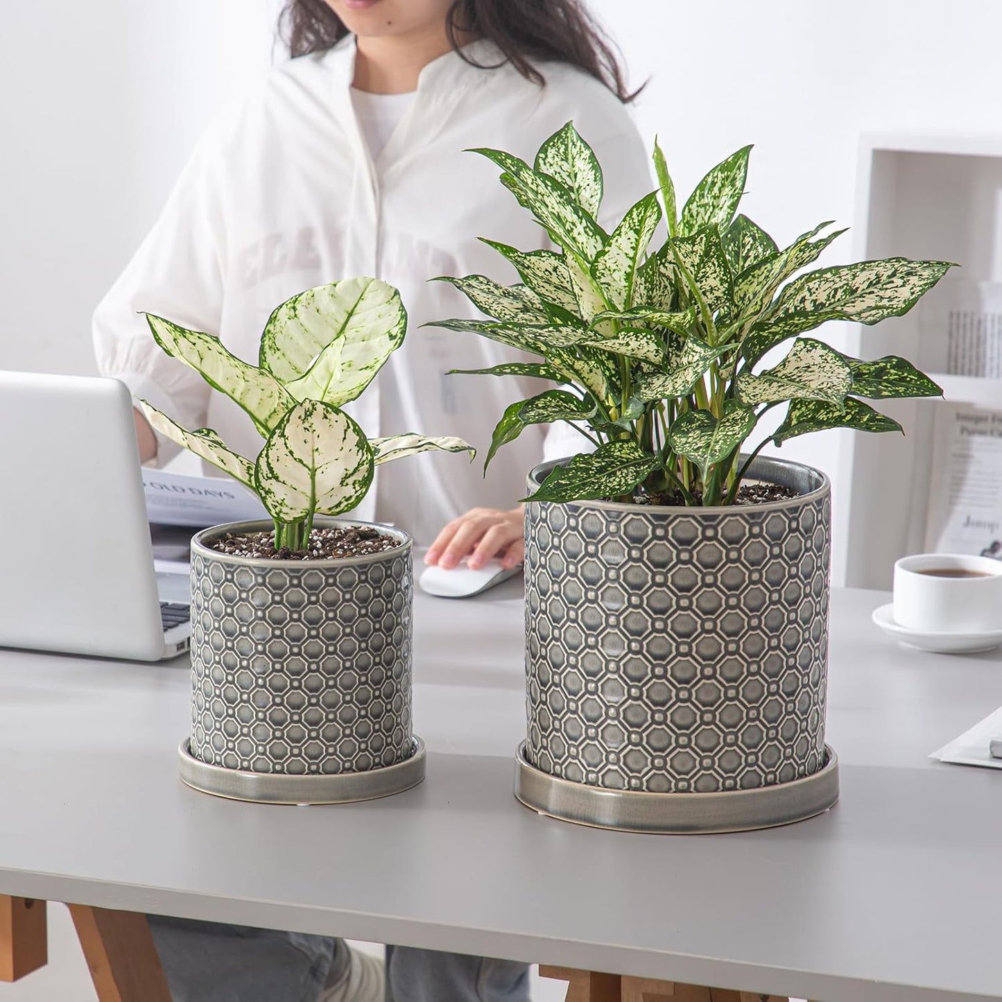 8 Inch Plant Pot: Ceramic Planter with Drainage Hole & Saucer Indoor Outdoor Plants - Cylinder Round Flower Pot for Home Office - Modern Decorative - Medium Grey