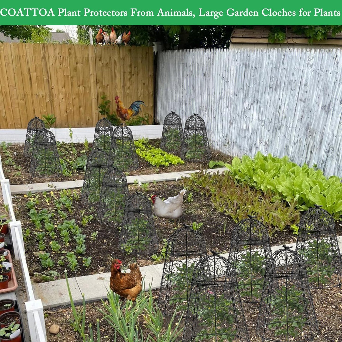 Plant Protector Chicken Wire Cloche 6 PCS, Plant Protectors from Animals, 18.7×12 Inch Large Garden Cloches for Plants, Sturdy 2-in-1 Cloche Dome for Plants, Plant Protectors for Easy Pruning